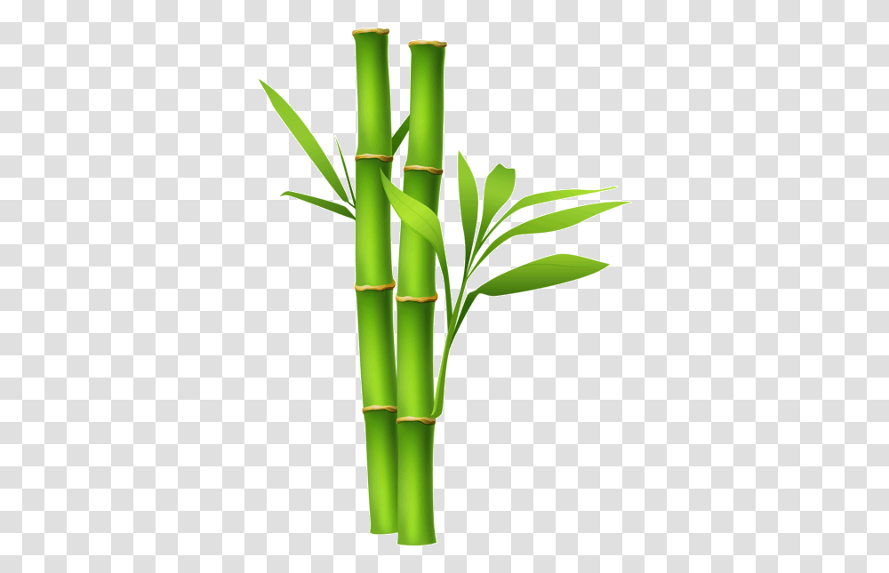 Bamboo Free Images Bamboo, Plant Transparent Png