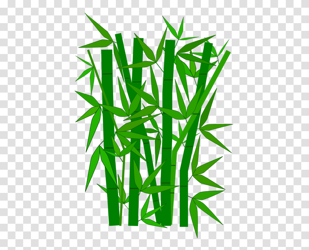 Bamboo Giant Panda Grasses Download Guadua, Plant Transparent Png