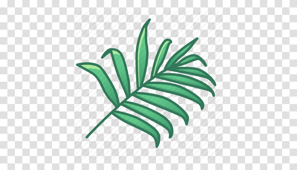 Bamboo Green Icons Leaf Leaves Nature Palm Tropic Tropical, Plant, Fern, Flower, Blossom Transparent Png
