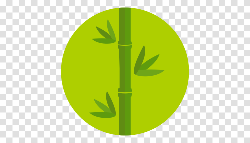 Bamboo Icon, Tennis Ball, Sport, Sports, Plant Transparent Png