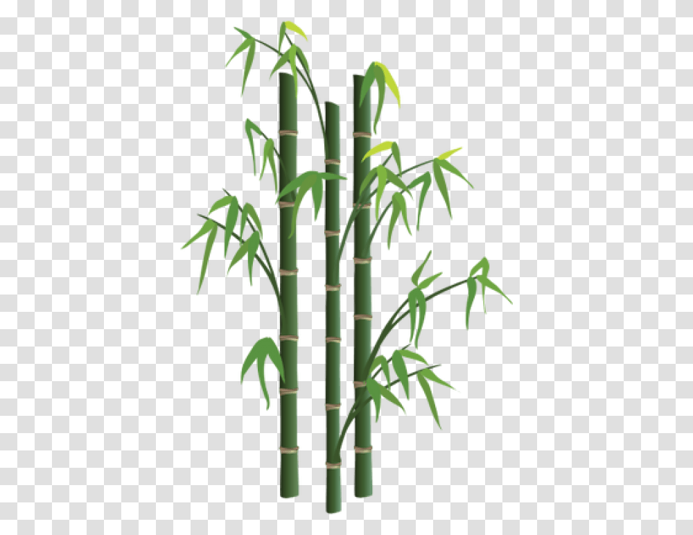 Bamboo Images Bamboo Tree Free Hd, Plant Transparent Png