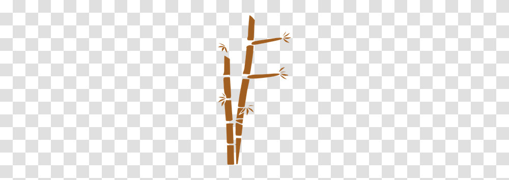 Bamboo Images Icon Cliparts, Plant, Leisure Activities, Musical Instrument, Utility Pole Transparent Png