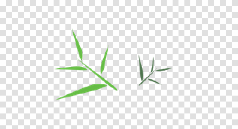 Bamboo Images, Plant, Grass, Leaf, Vase Transparent Png