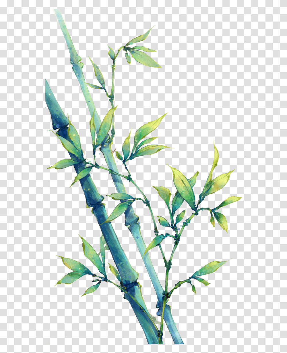 Bamboo Leaves Bamboo Watercolour, Plant, Leaf, Flower, Blossom Transparent Png