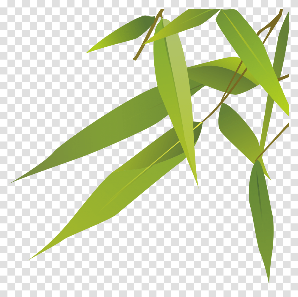 Bamboo Leaves Feuille De Bambou Dessin, Plant, Leaf Transparent Png