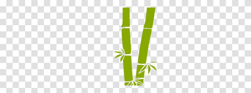 Bamboo, Nature, Plant, Flower, Blossom Transparent Png