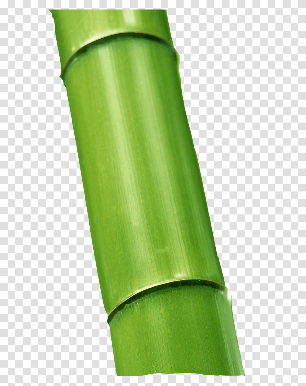 Bamboo, Nature, Plant, Green Transparent Png