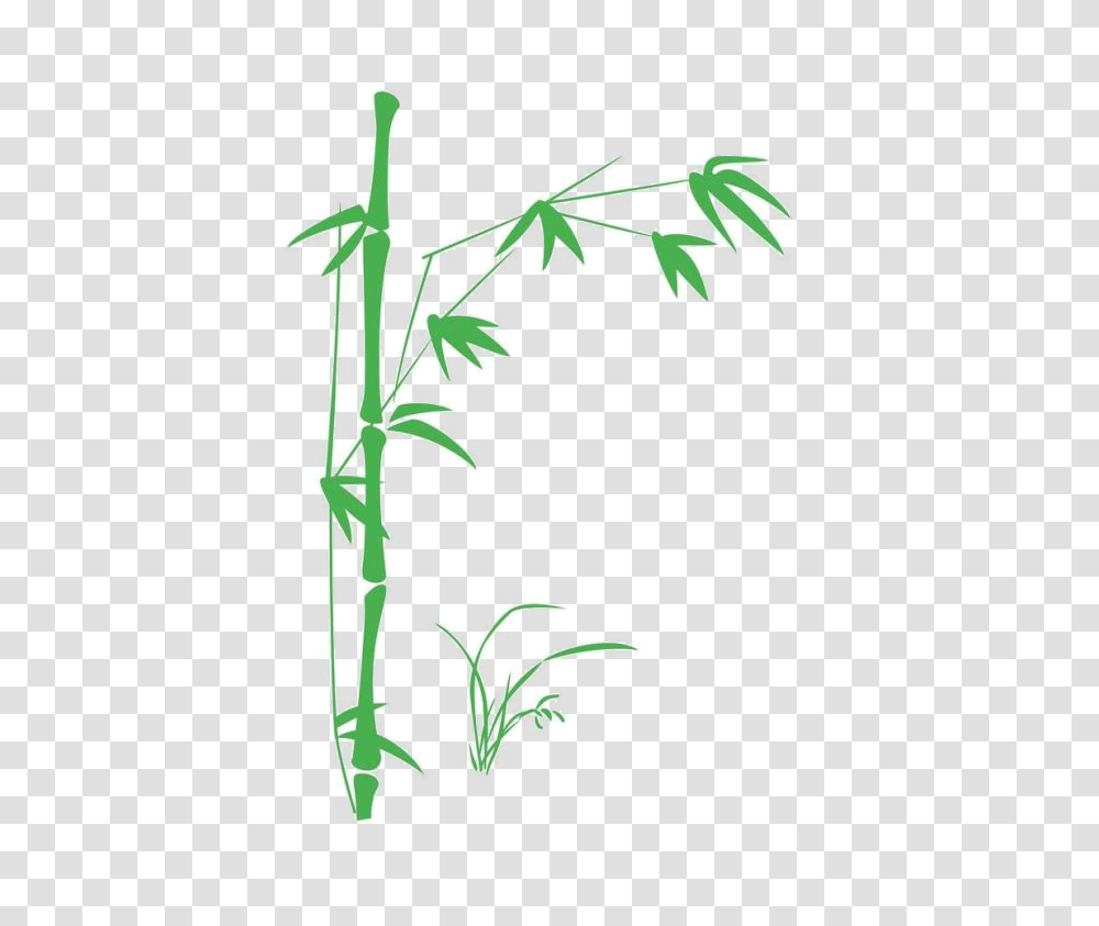 Bamboo, Nature, Plant, Green, Vase Transparent Png