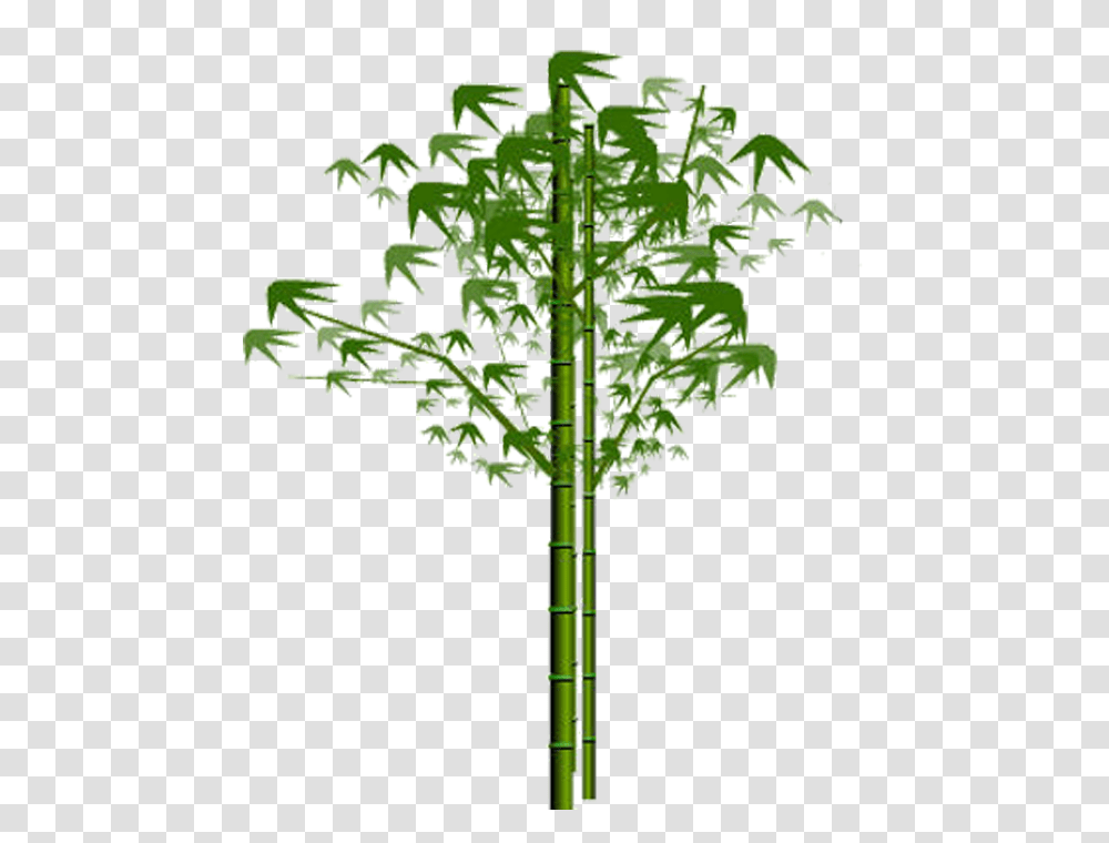 Bamboo, Nature, Plant, Staircase, Tree Transparent Png