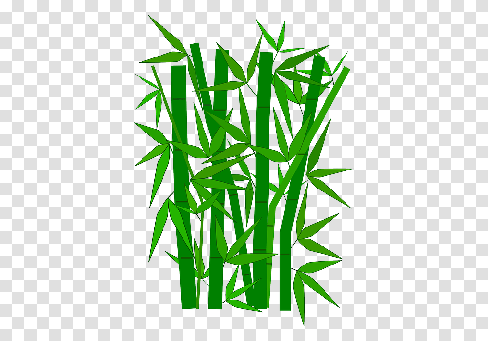 Bamboo, Nature, Plant Transparent Png