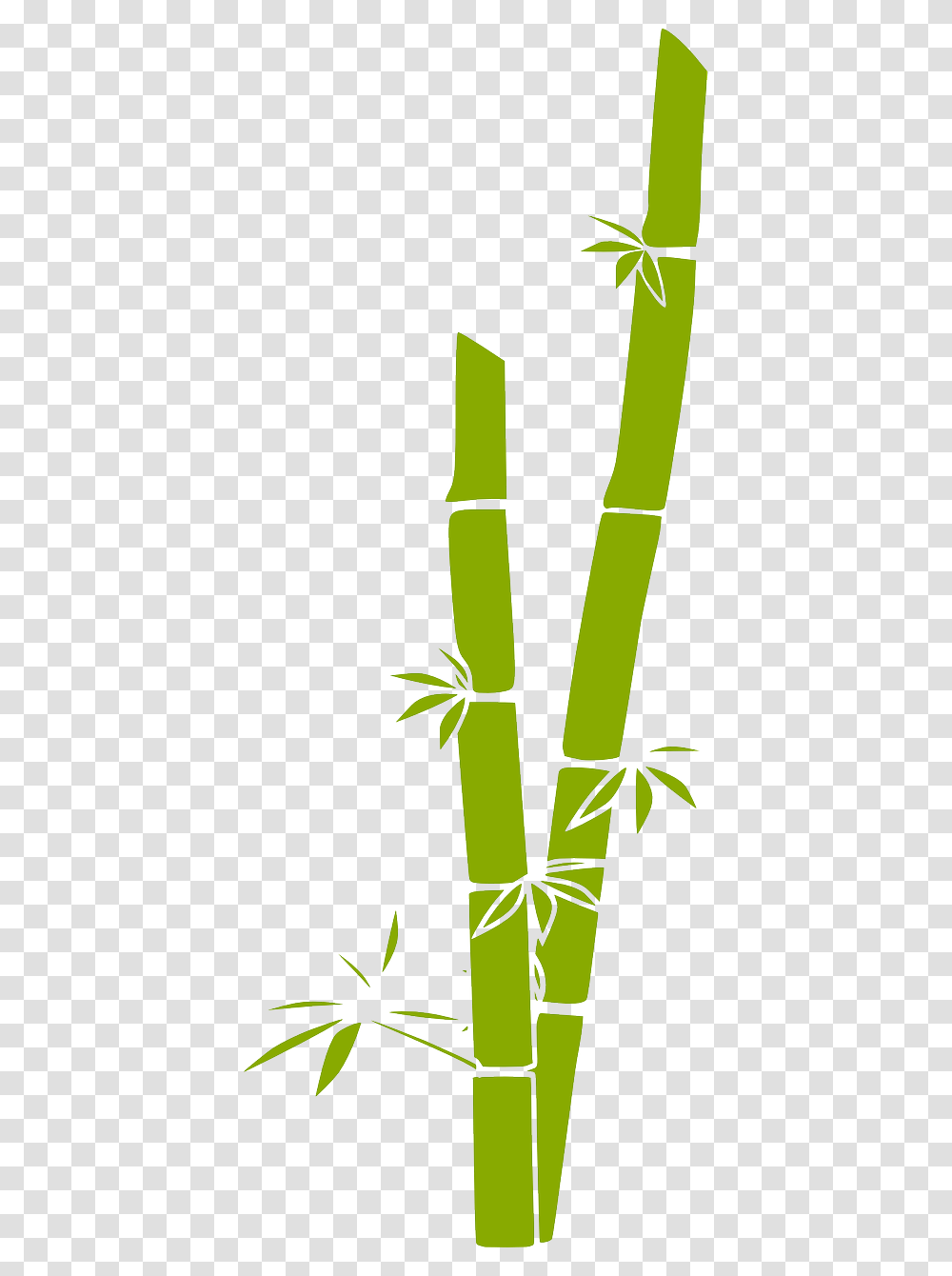 Bamboo, Nature, Plant Transparent Png