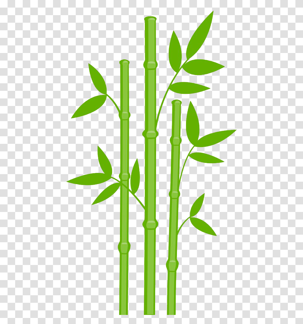 Bamboo, Nature, Plant Transparent Png