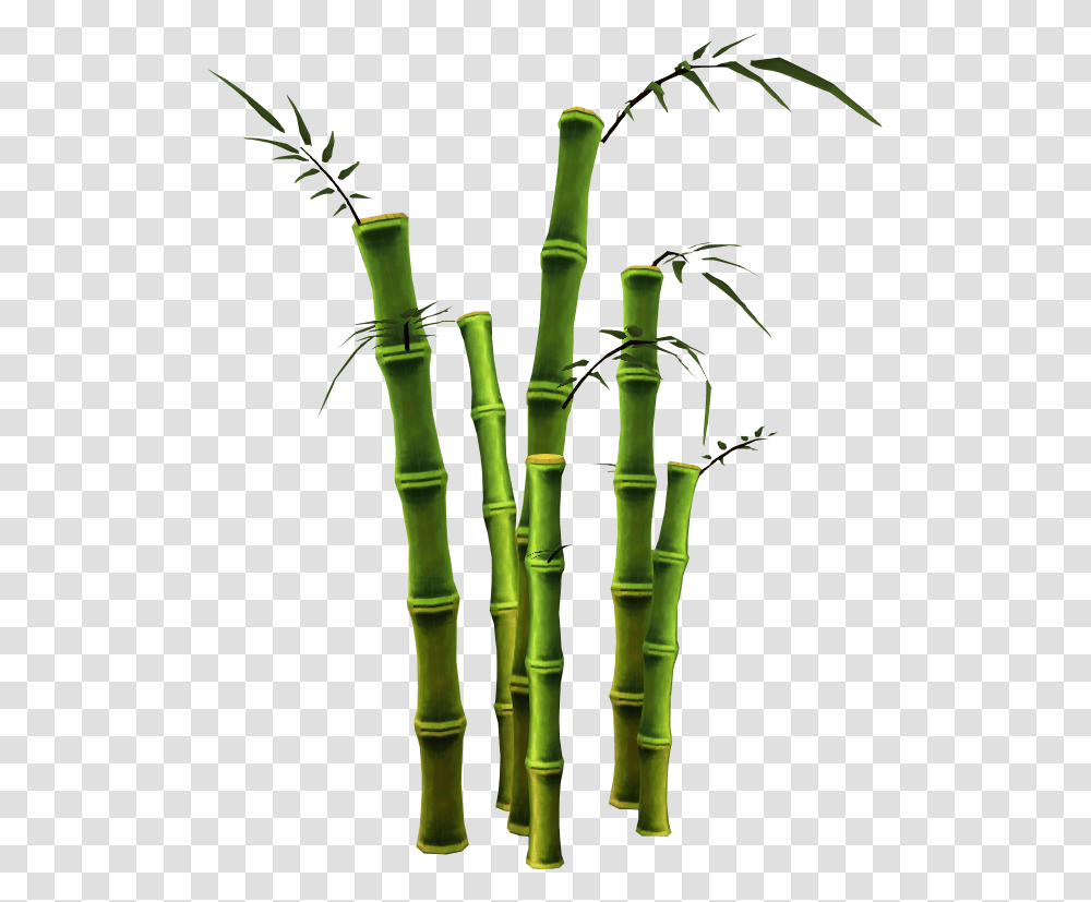 Bamboo, Nature, Plant Transparent Png