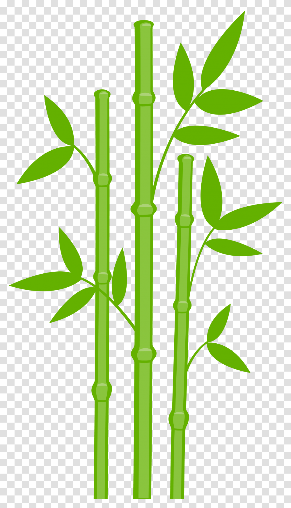 Bamboo, Nature, Plant Transparent Png