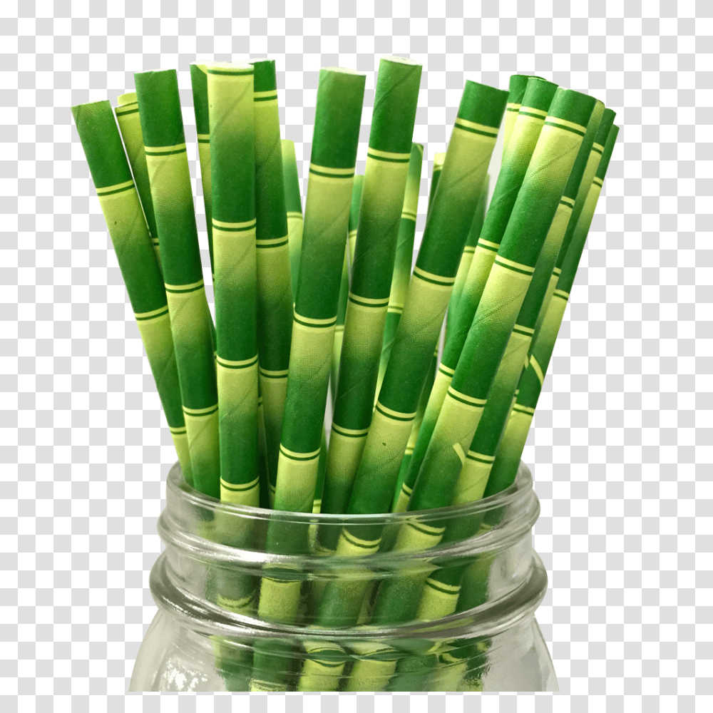 Bamboo, Nature, Plant Transparent Png