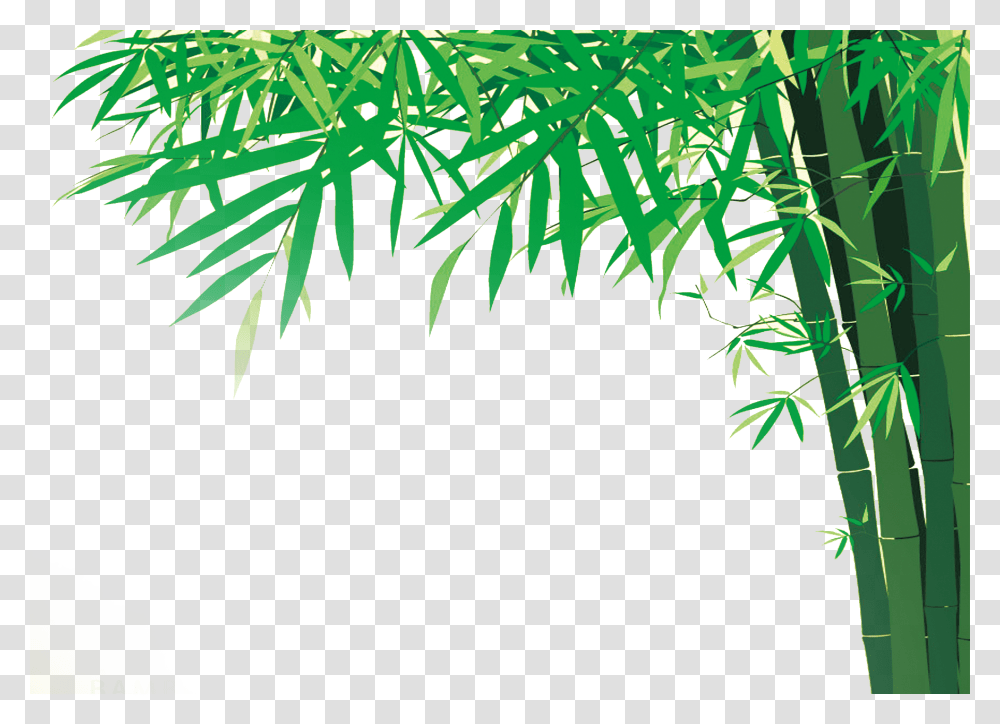 Bamboo, Nature, Plant Transparent Png