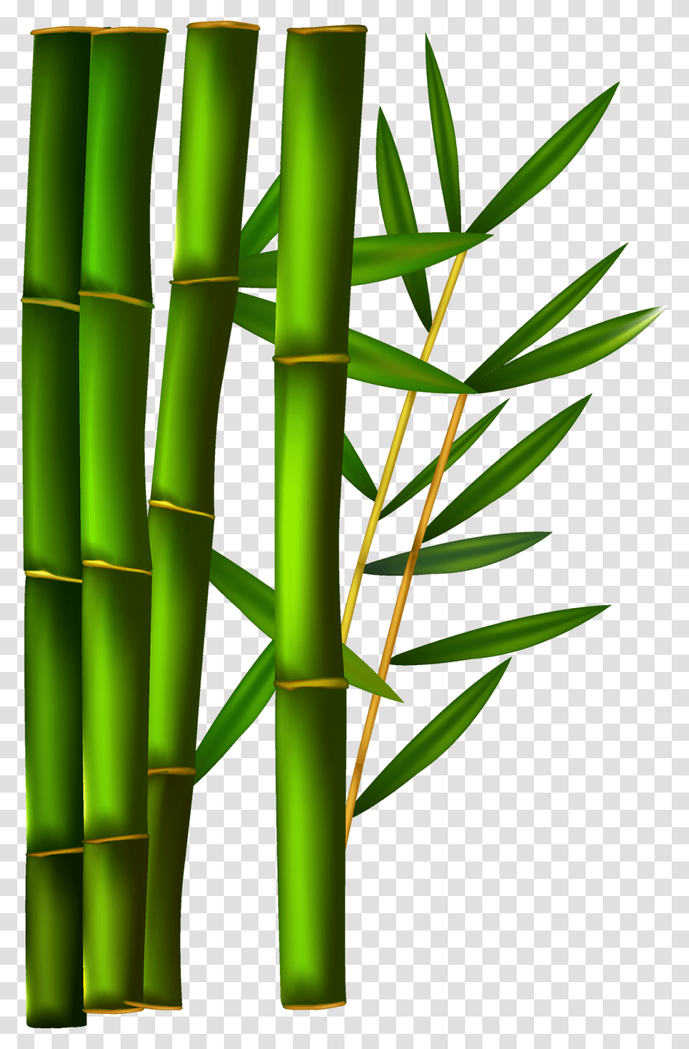 Bamboo, Nature, Plant Transparent Png