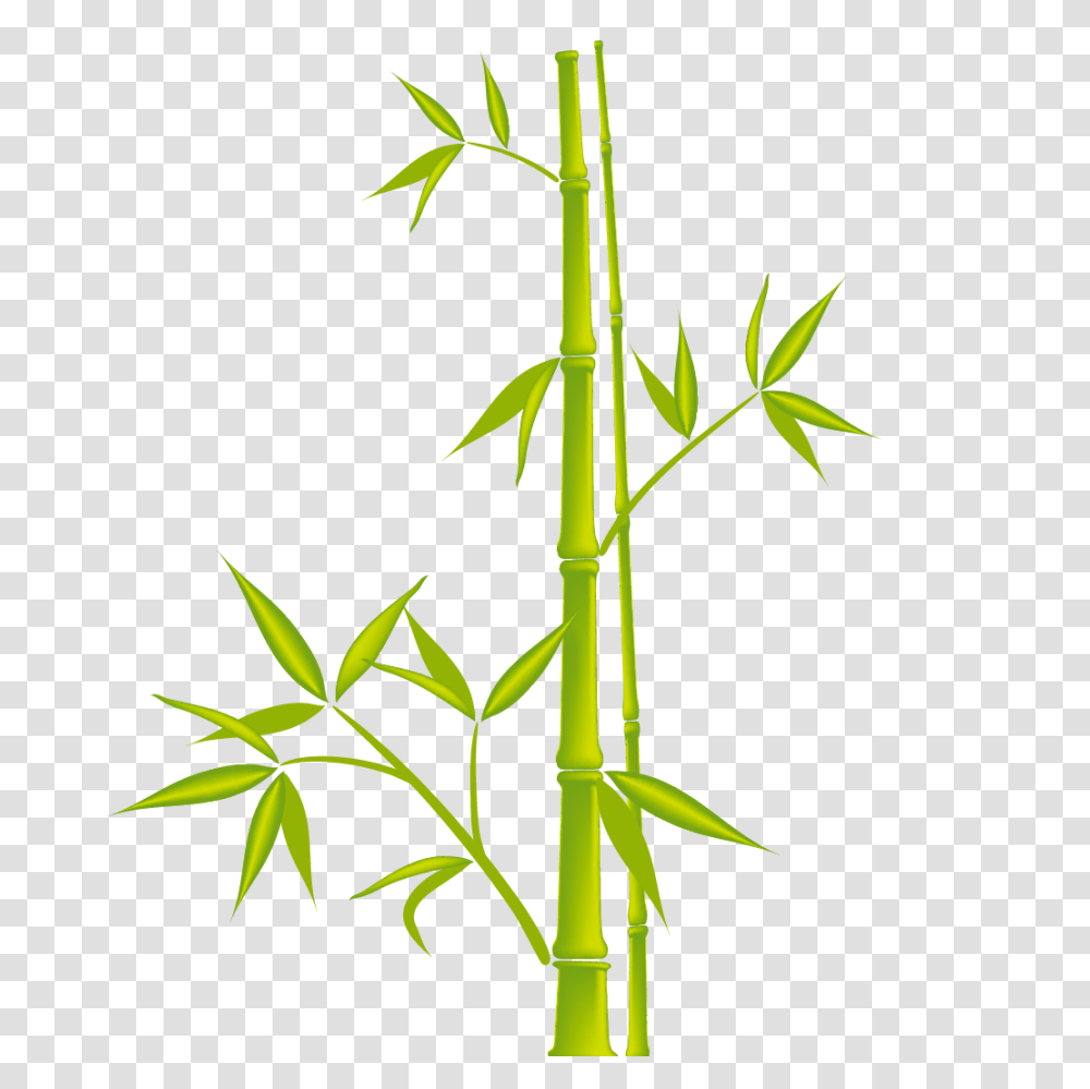 Bamboo, Nature, Plant Transparent Png