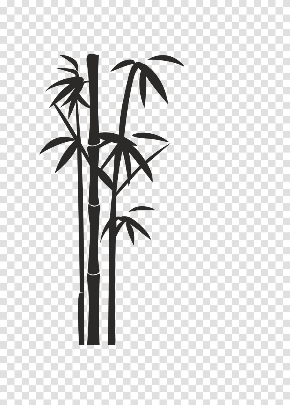 Bamboo, Nature, Plant, Tree, Cross Transparent Png