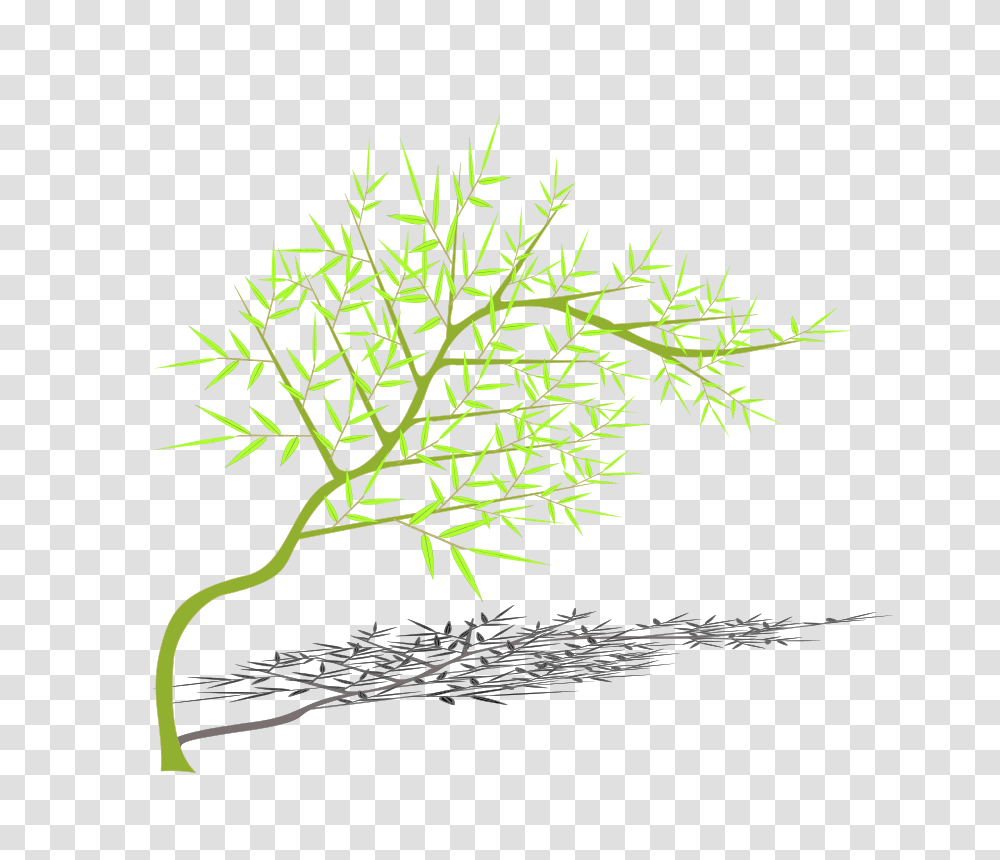 Bamboo, Nature, Plant, Tree, Leaf Transparent Png