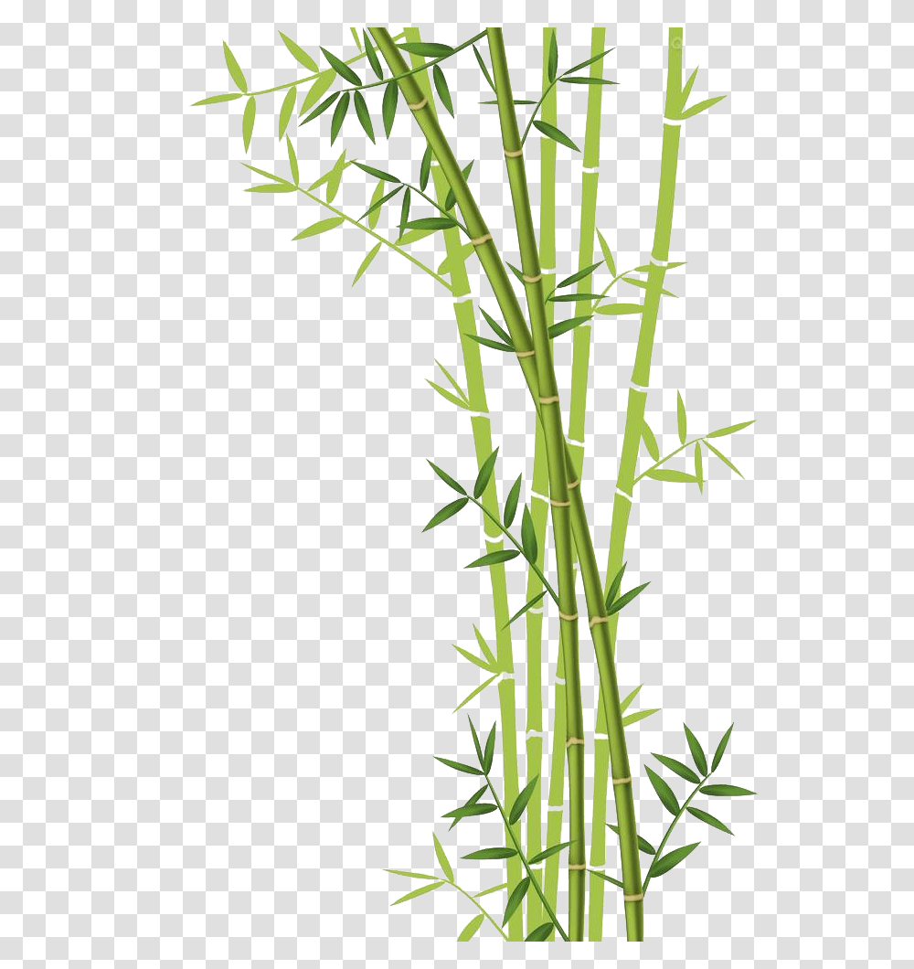 Bamboo, Nature, Plant, Utility Pole Transparent Png