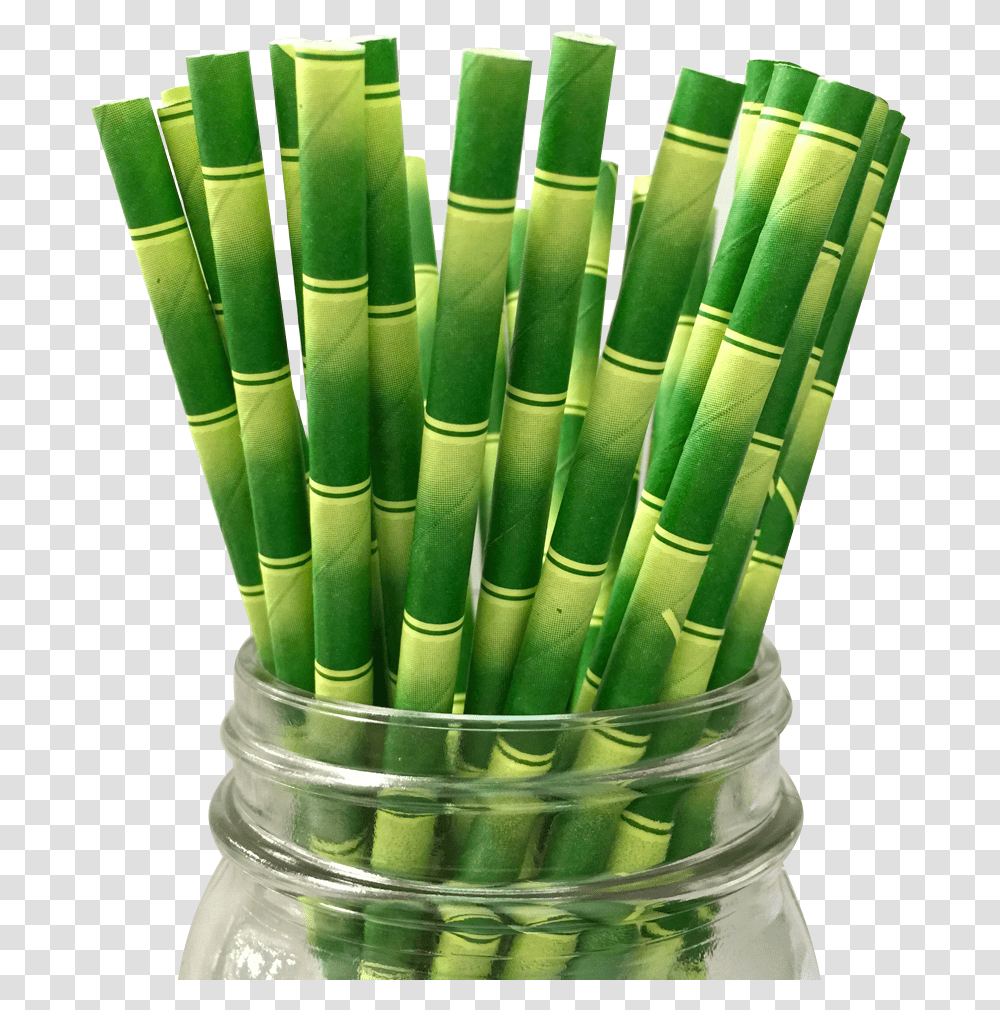 Bamboo Paper Straw Bamboo Straws Background, Plant, Dynamite, Bomb, Weapon Transparent Png