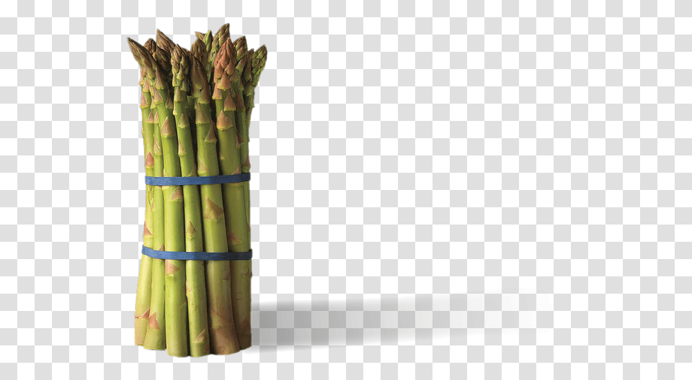 Bamboo, Plant, Banana, Fruit, Food Transparent Png