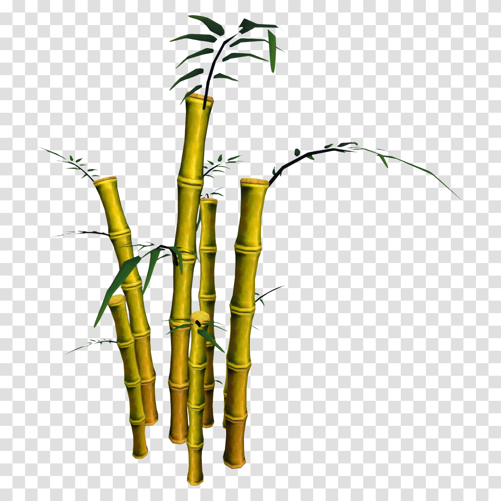 Bamboo, Plant, Bow Transparent Png