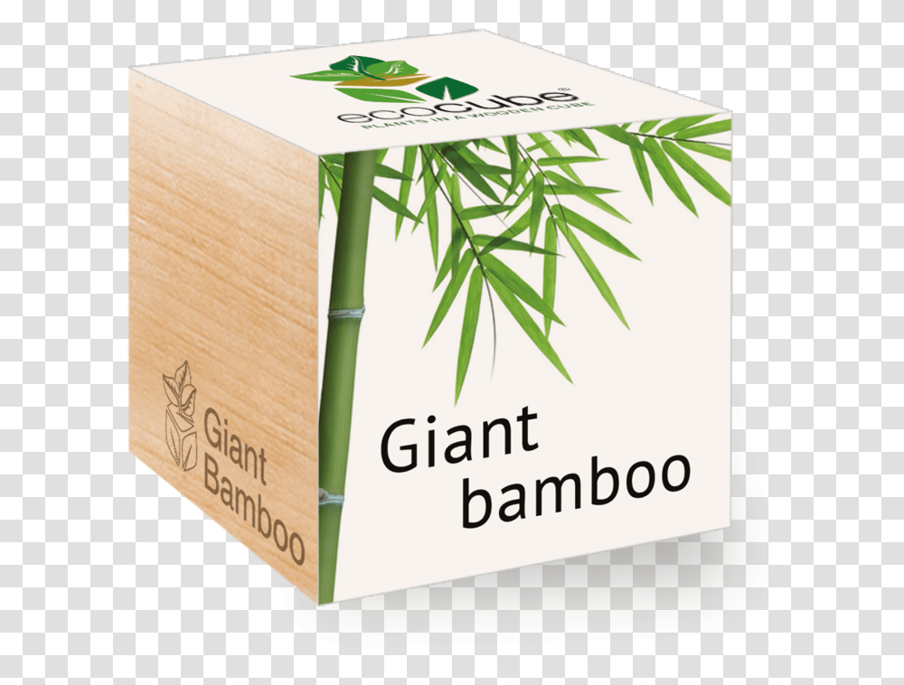 Bamboo, Plant, Label, Vase Transparent Png