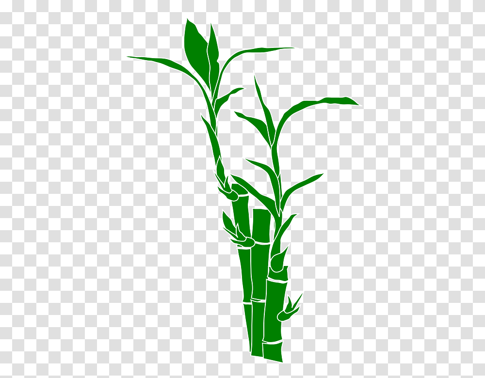 Bamboo Plant Nature Leaves Wood Gramineous Plant Bamboo Clipart, Sesame, Seasoning, Food, Flower Transparent Png