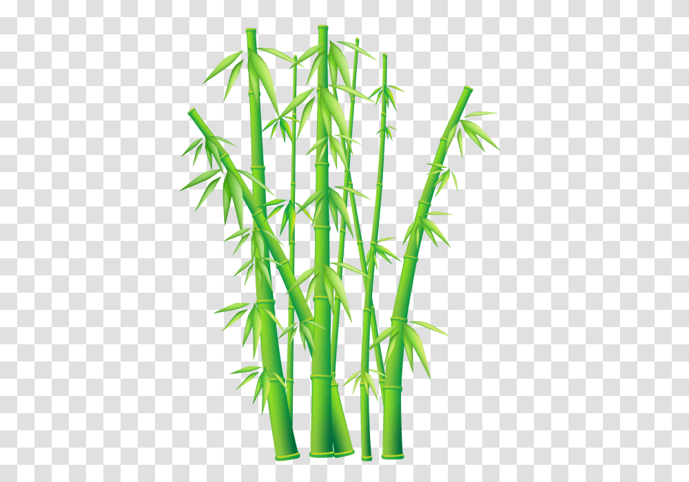 Bamboo, Plant Transparent Png