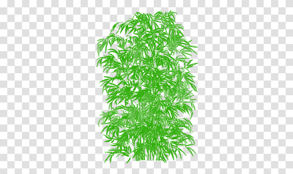 Bamboo Plant Vector, Leaf, Green, Tree, Silhouette Transparent Png