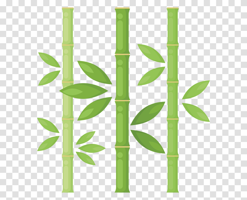 Bamboo Plants Drawing Tree Plant Stem Transparent Png