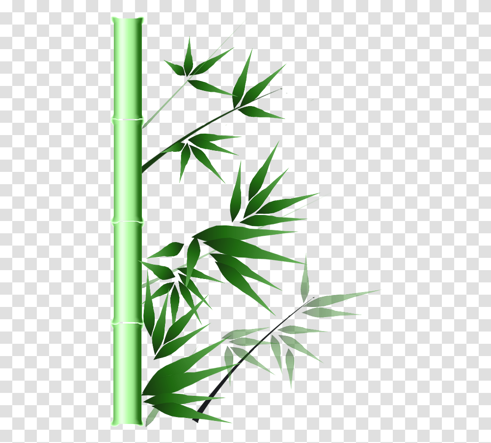 Bamboo Portable Network Graphics, Plant, Hemp Transparent Png