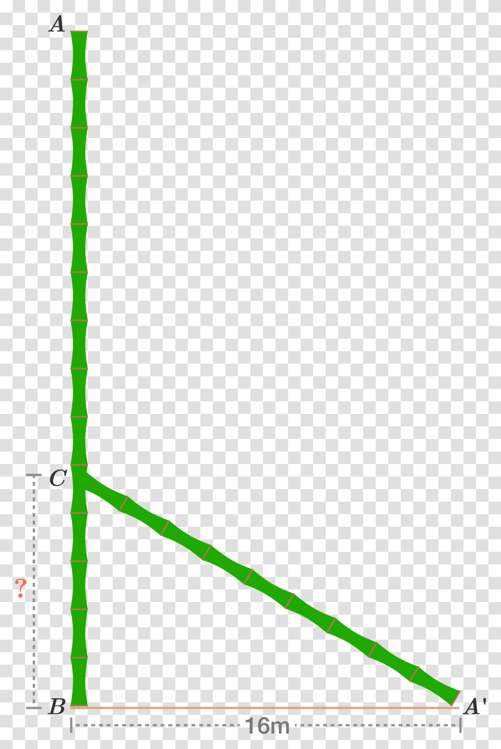 Bamboo Stick Was Broken By The Wind Such That The Pythagoras Bamboo, Bow, Plot, Outdoors, Diagram Transparent Png