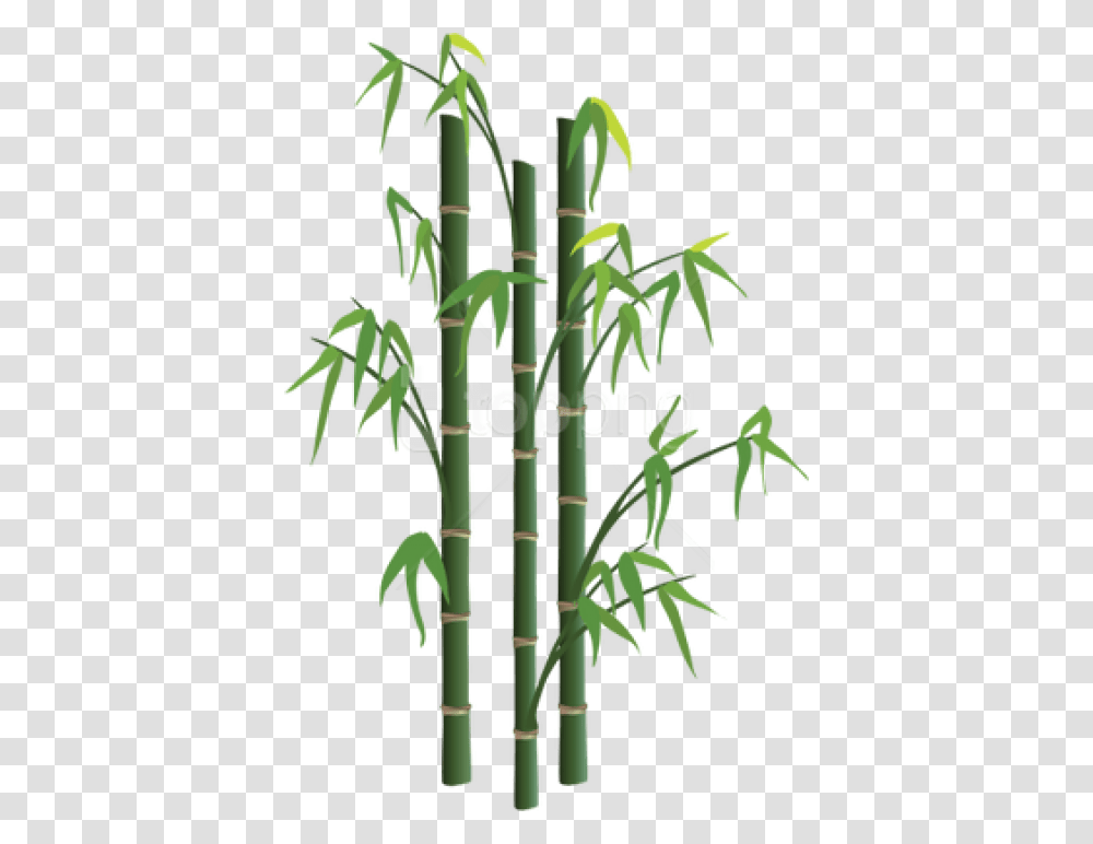 Bamboo Sticks Background Bamboo, Plant Transparent Png