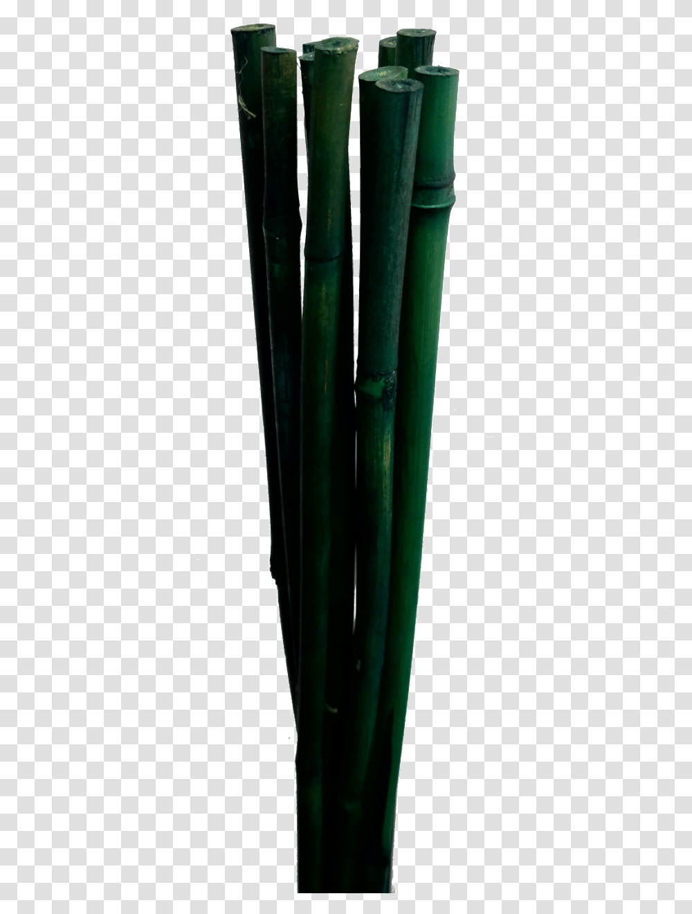 Bamboo Sticks X Vase, Plant, Flower, Blossom Transparent Png