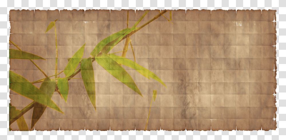 Bamboo Texture Paper, Leaf, Plant, Modern Art Transparent Png