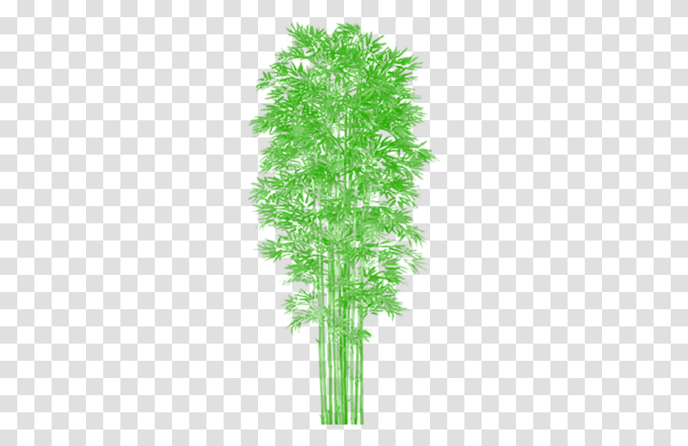 Bamboo Tree Clipart Clip Art Royalty Free Bamboo Tree Vector Bamboo Tree Psd Plan, Leaf, Plant, Green, Silhouette Transparent Png