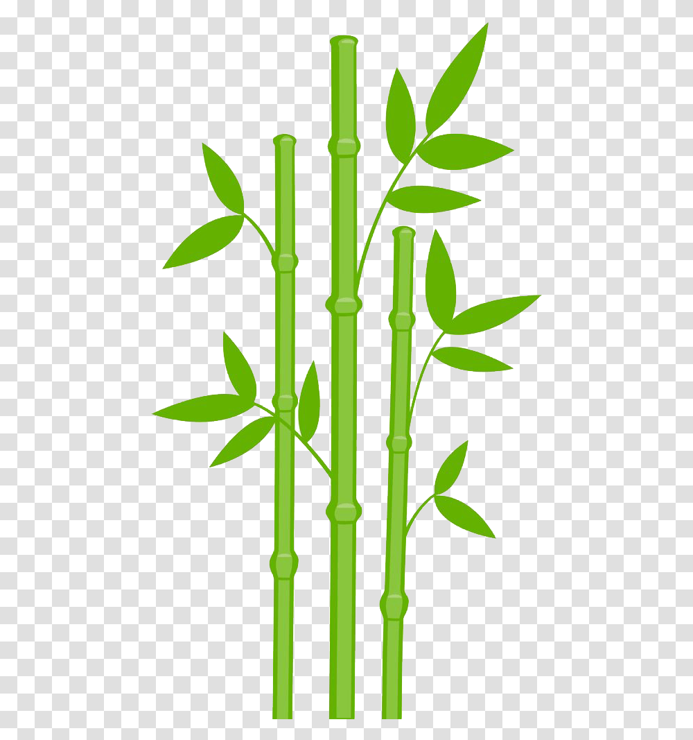 Bamboo Tree Plant Exotic Bamboo Clipart Transparent Png