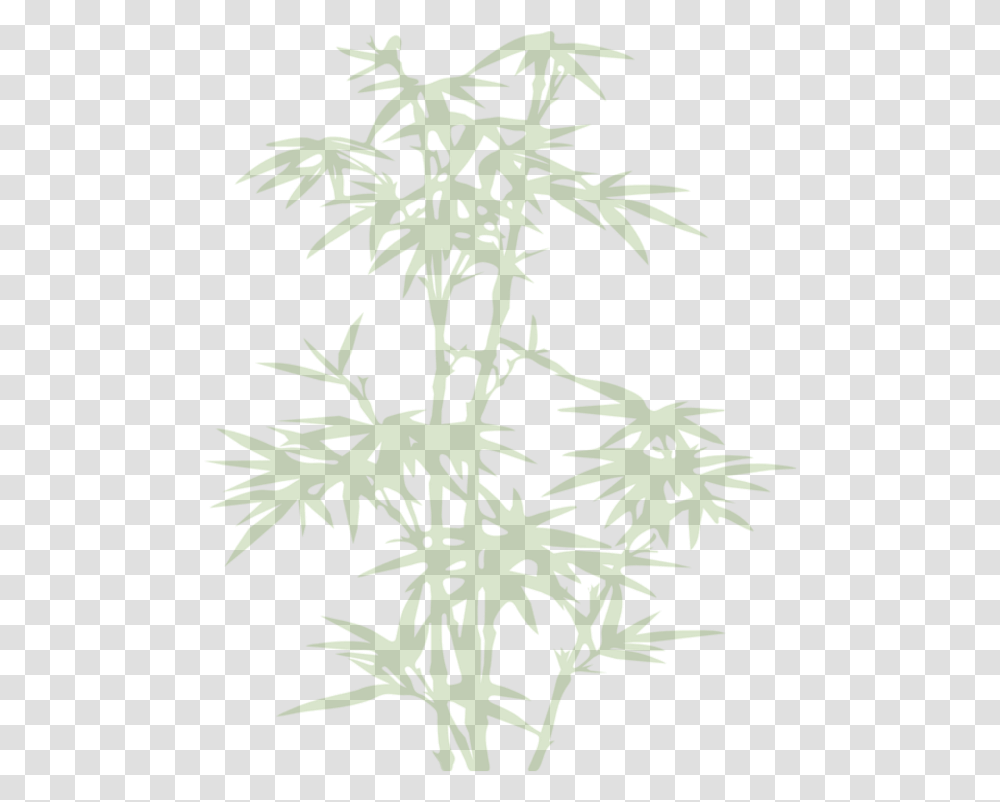 Bamboo Tree Shadow Green Cherryatelier Freetoedit Bamboo, Plant, Flower, Blossom, Weed Transparent Png