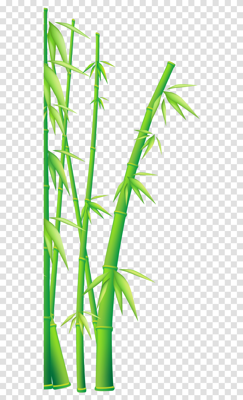 Bamboo Vector Clipart Download Kung Fu Panda Bamboo Transparent Png