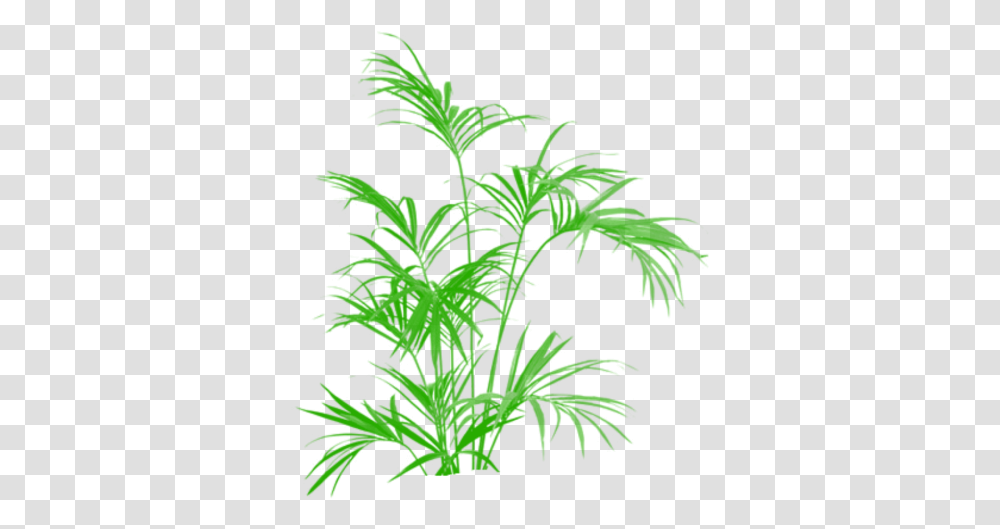 Bamboo Vector Grass Vector Plant Tree, Potted Plant, Vase, Jar, Pottery Transparent Png