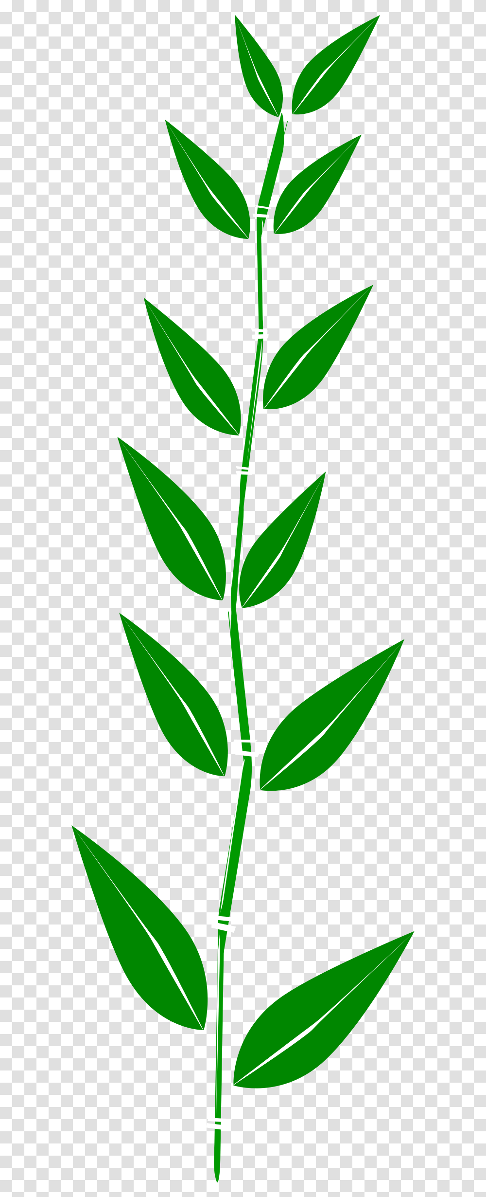 Bambooleaf Icons, Plant, Flower, Blossom, Bud Transparent Png