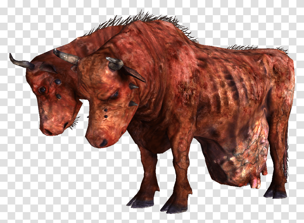 Ban Appeal For The Yeetster Ttt Harrysmod Fallout New Vegas Brahmin, Cow, Cattle, Mammal, Animal Transparent Png