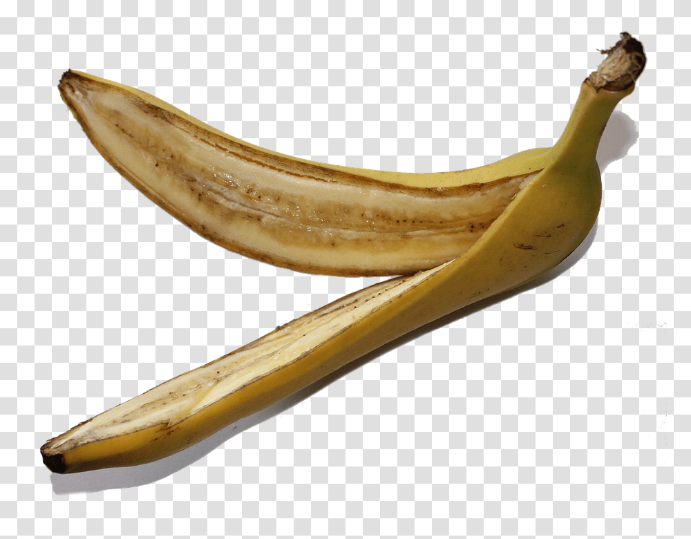 Banana 960, Fruit, Plant, Food, Animal Transparent Png