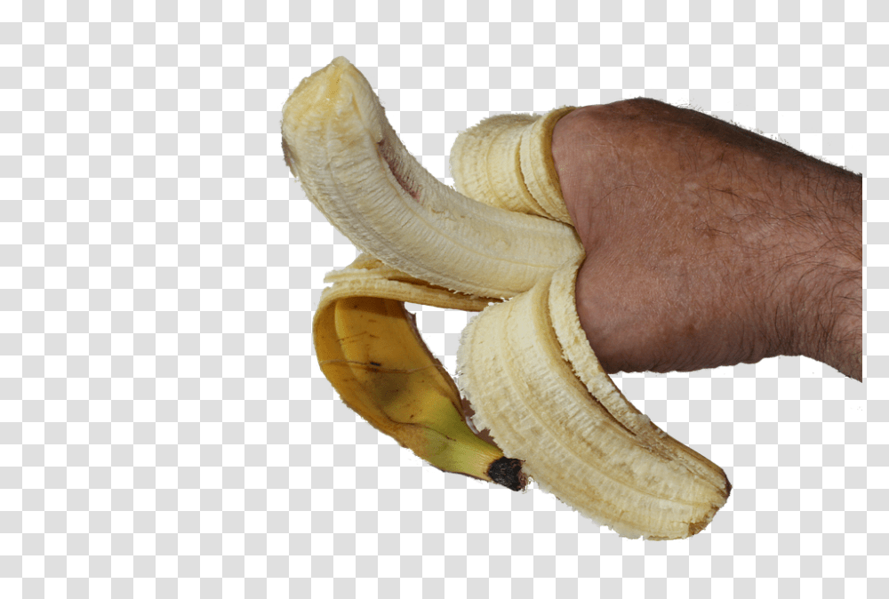 Banana 960, Fruit, Plant, Food, Fungus Transparent Png
