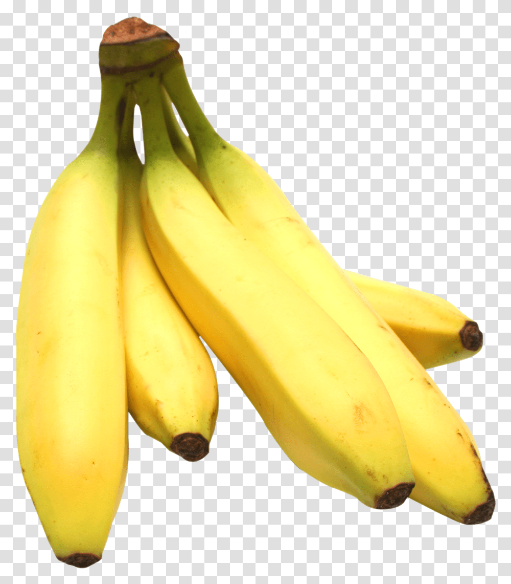 Banana Bunch, Fruit, Plant, Food Transparent Png