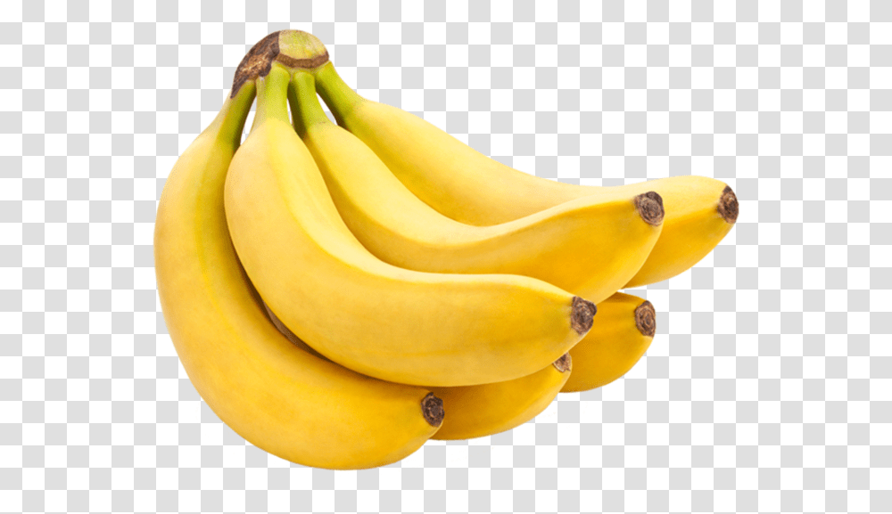 Banana Bunch, Fruit, Plant, Food Transparent Png