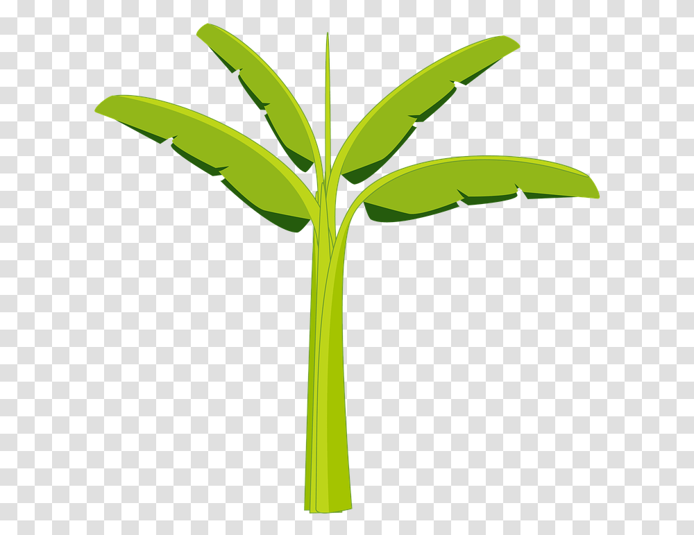 Banana Clipart Banana Tree Banana Tree Plant Banana Tree Clip Art, Leaf, Cross, Symbol, Green Transparent Png